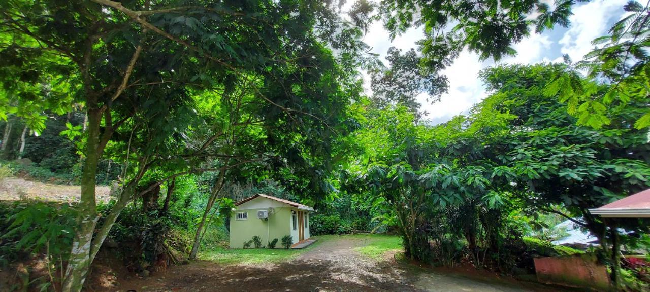 Hostal Y Cabinas Anita-And Rafting Tour! Siqurres Da Alegria Eksteriør bilde